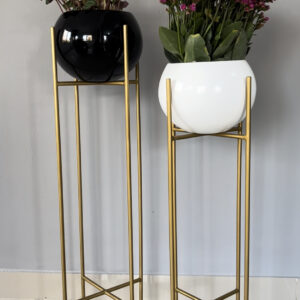 Modelo Bombai (incluye base)