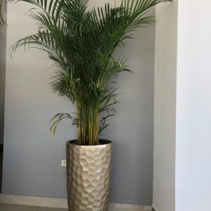 Maceta fibra de vidrio NAPOLI 38cm alto