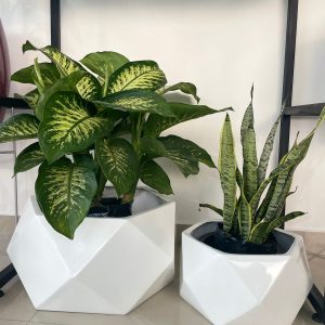 Maceta fibra de vidrio NAYA 21cm alto