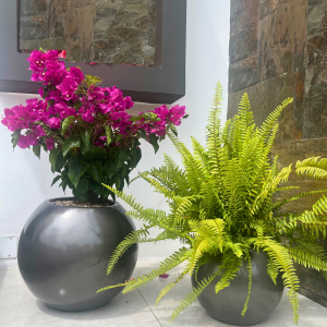 Maceteros forma redonda