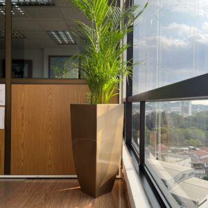 Maceteros forma cuadrada cónica