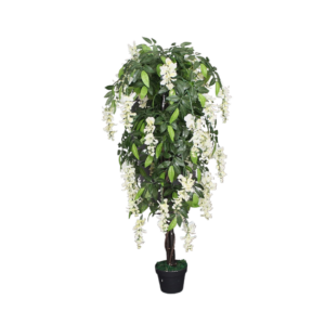 Glicina Mediana