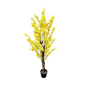 Jazmín Amarillo