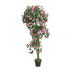 Azalea Rosa