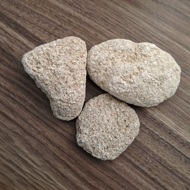 Piedra Coralina Decorativa - Imagen 2