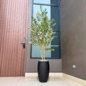 Arreglo de Macetero Ibiza 60 cm + Olivo 180 cm