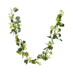 Rama Colgante de Eucalipto y Paniculata