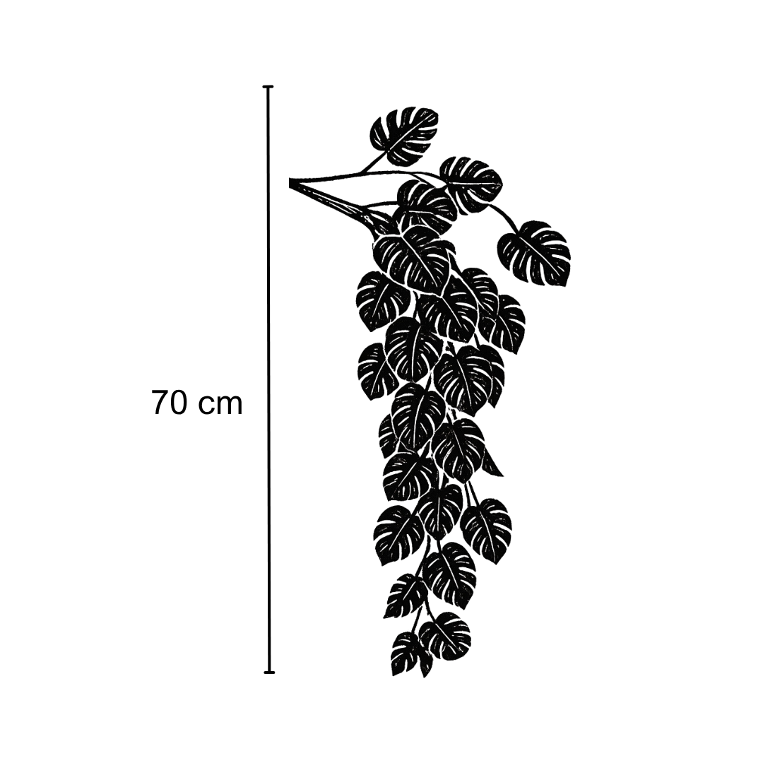 Rama Monstera Colgante - Imagen 2